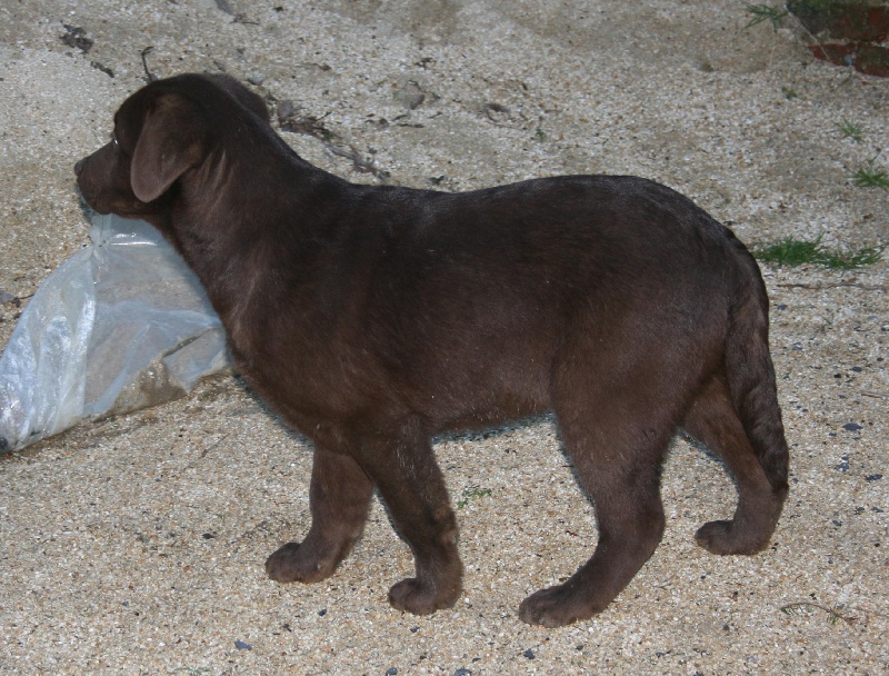 Ipop de la plaine du Vermandois